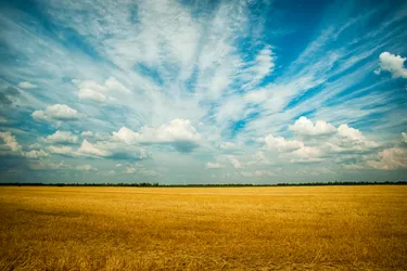 A landscape of a recently harvested wheat field with a cloudy but bright sky